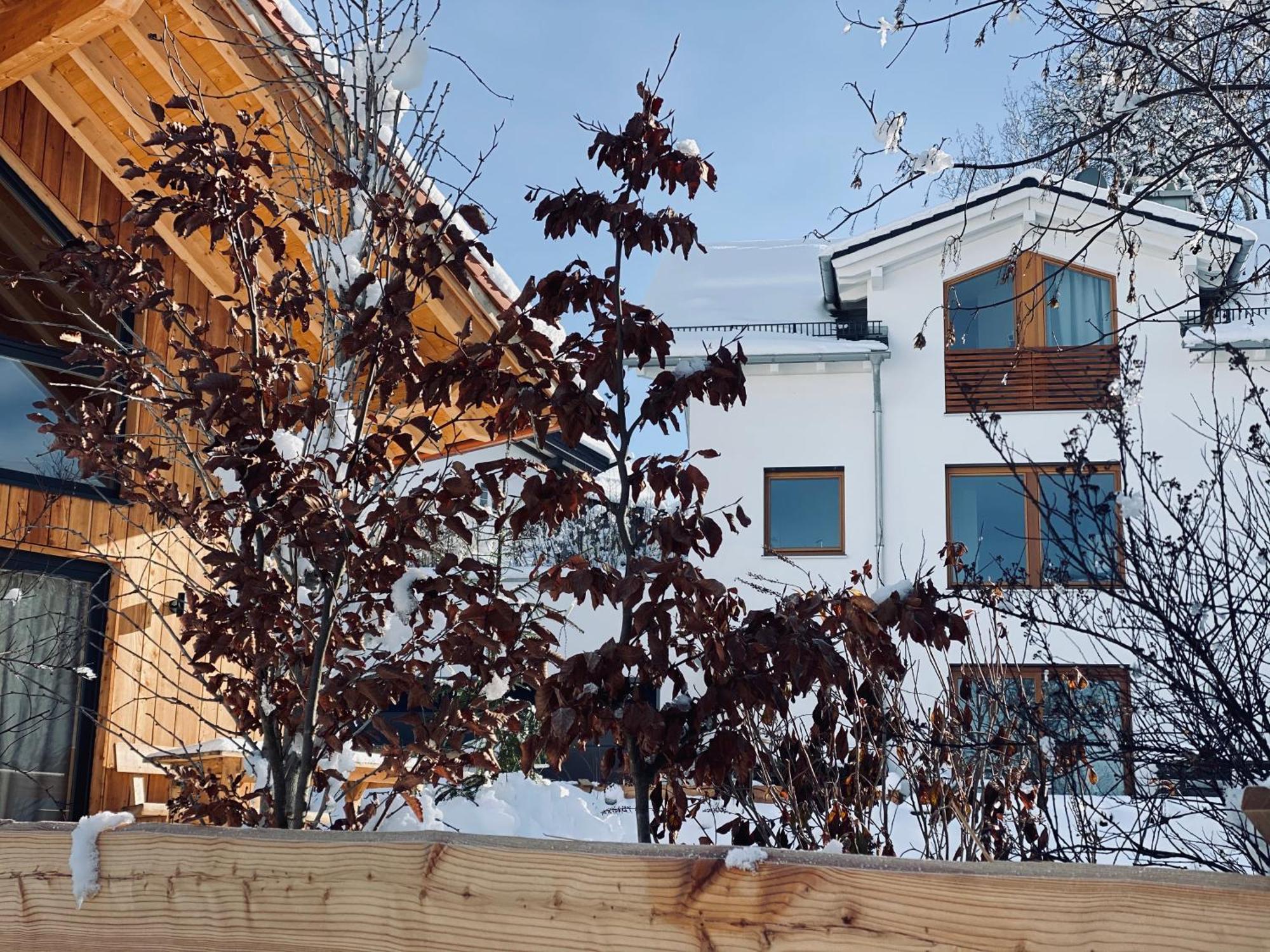 Schlossquelle Koenigsdorf Konigsdorf 外观 照片